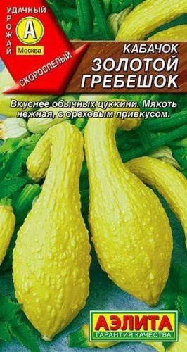 Аэлита кабачок Золотой гребешок