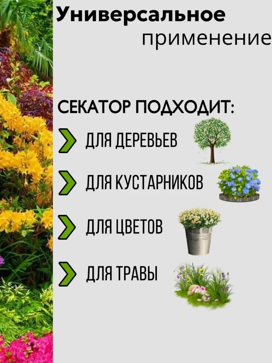 Фото 3