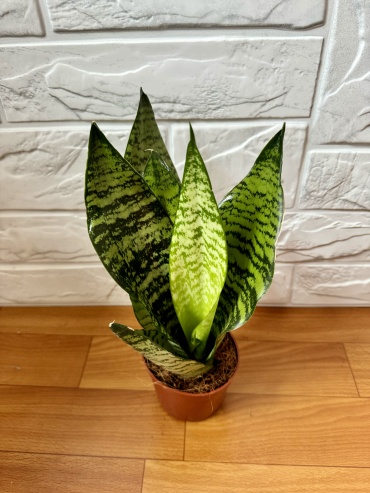 Фото 2
