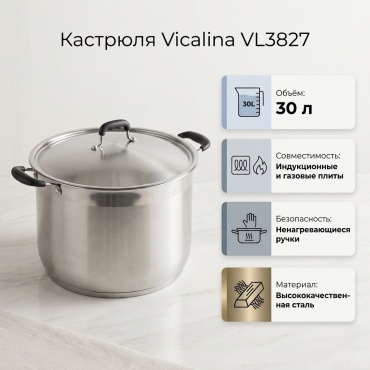 Кастрюля 30 л, Vicalina VL3827 сталь