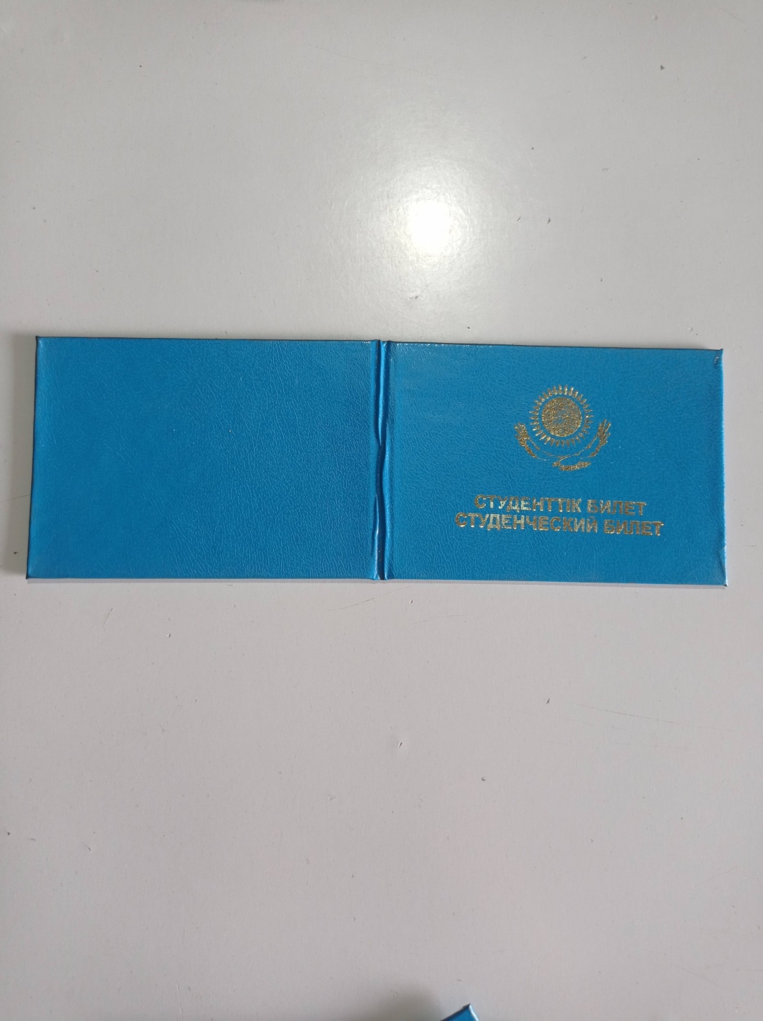 Обложка для студенческого билета, бумага