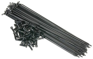 Salt PG spokes 24031011114