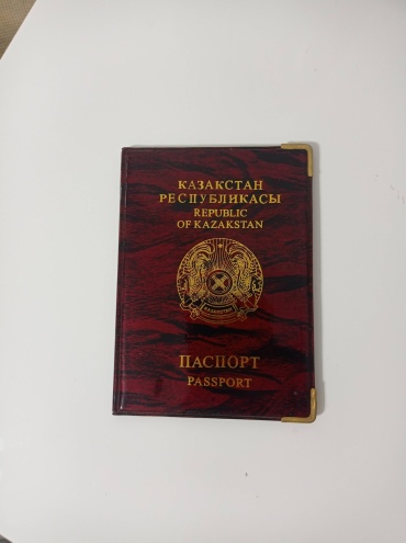 Обложка для паспорта, поливинилхлорид