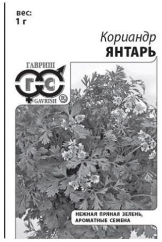 Гавриш кориандр Янтарь