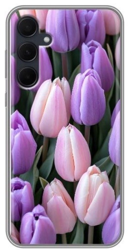 Чехол для Samsung Galaxy A55 рисунок