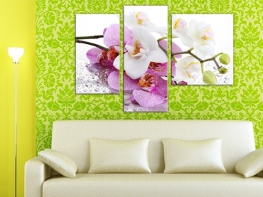 Фото 3