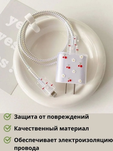 Чехол R-CES кейс-органайзер прозрачный