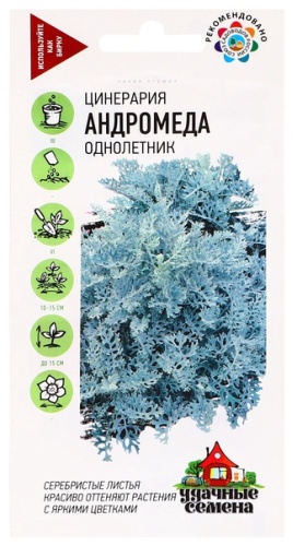 Гавриш ценерария Андромеда