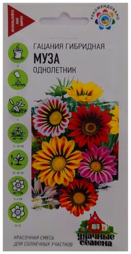 KVARTIRA гацания Муза
