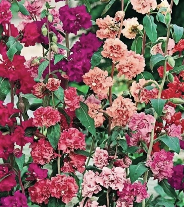Фото 2