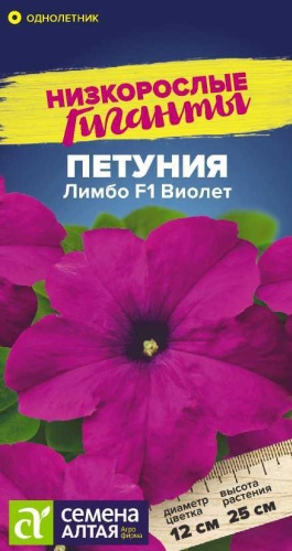 Семена Алтая петуния Лимбо F1 Виолет