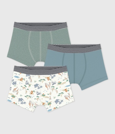 Боксеры Petit Bateau мультиколор