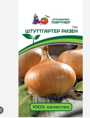 Партнер лук Штуттгартер Ризен