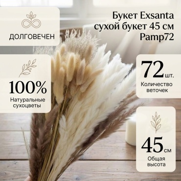 Букет Exsanta сухой букет 45 см, Pamp72