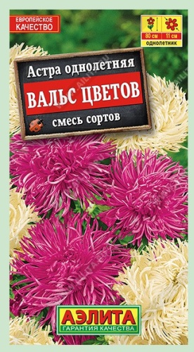 Аэлита астра Вальс
