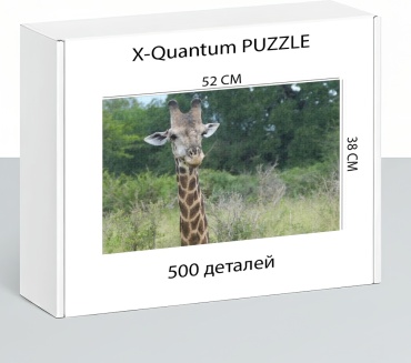 X-Quantum puzzle_kvaijuodxp классический 500 деталей