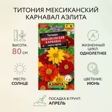 Аэлита титония Мексиканский Карнавал