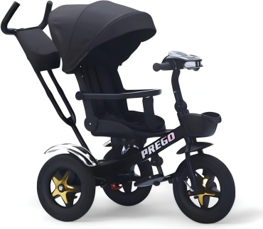 Трёхколёсный велосипед PEGAS Pregoo-6300 черный
