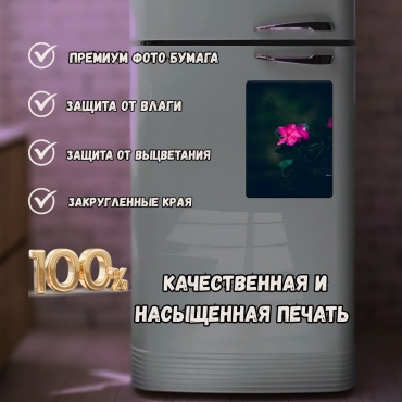 Фото 3