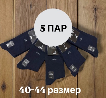 Носки SPEED WIN 5 пар темно-синий 40-44