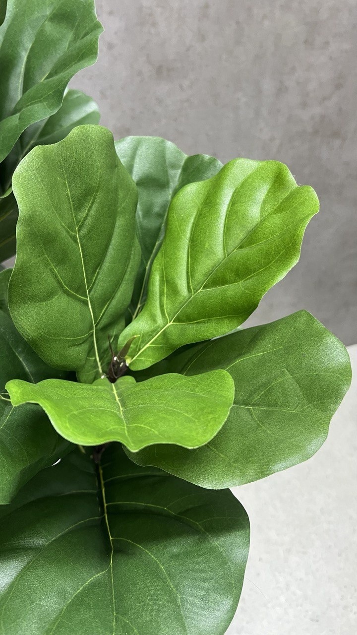 Фото 4