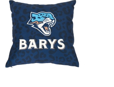 Подушка декоративная BARYS 32x32 см, Логотип и цвета «Барыса» нанесены методом сублимации