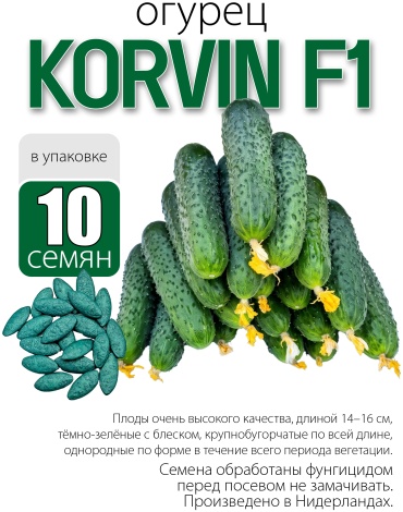 Голландские семена огурец Korvin F1