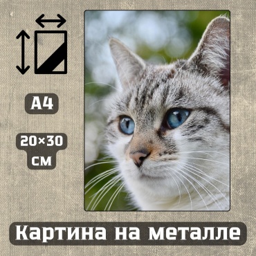 Sequoia VERS картина Картина на металле а4 Дыхание природы 20*30см 20x30 см