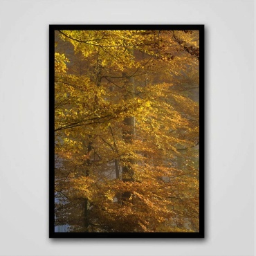 Quantum картина Дыхание природы 21x30 см