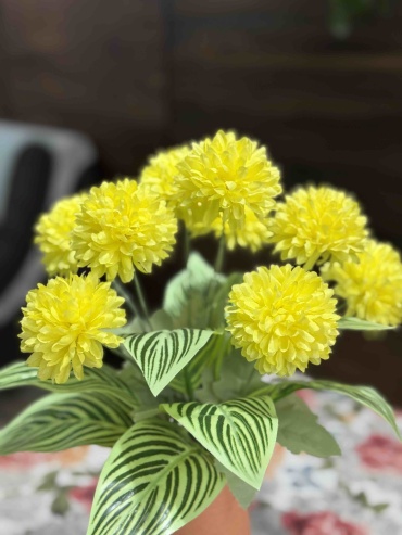 Фото 3
