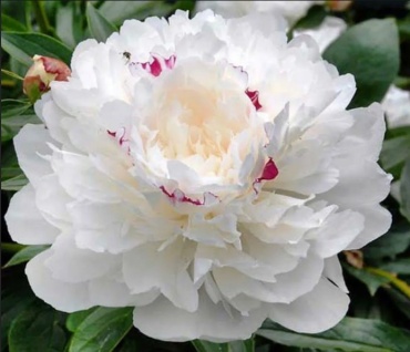 Фото 2