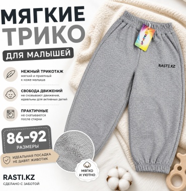 Штанишки Rasti.kz серебристый