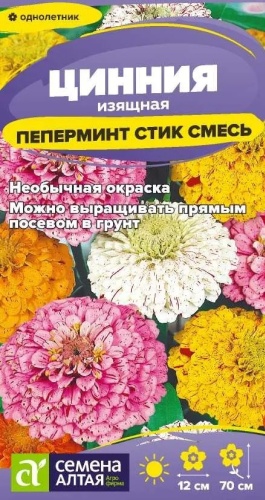 Семена Алтая цинния Пеперминт Стик
