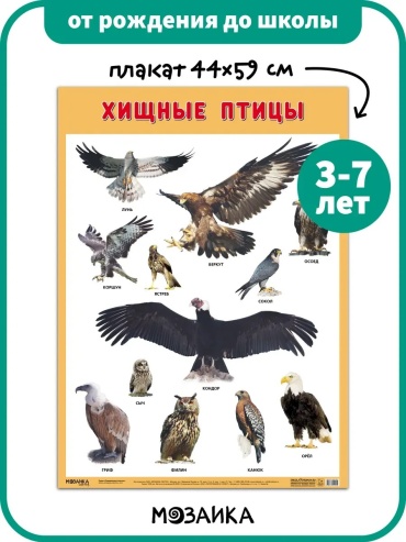 Плакат Хищные птицы, B3, бумага