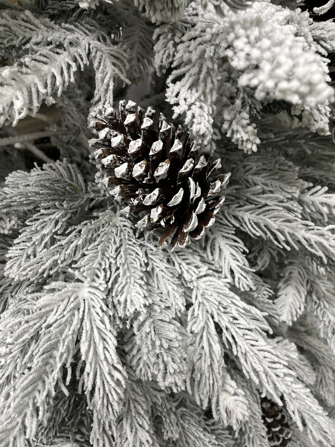 Фото 4