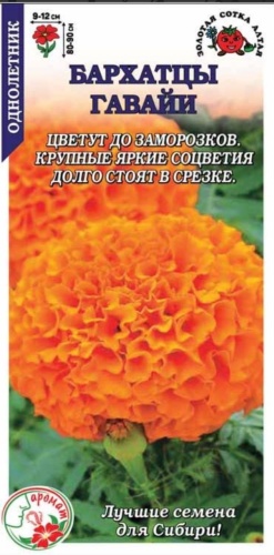 Бархатцы Гаваи