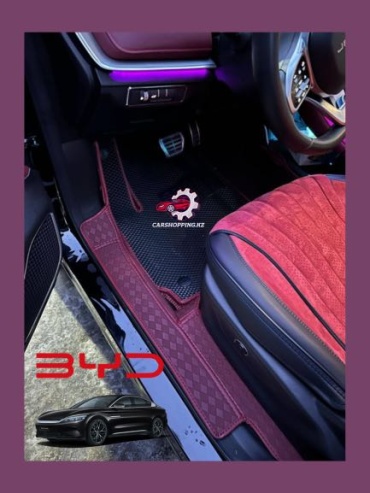 30363352_379866218 BYD Yuan 2018-2025 бордовый
