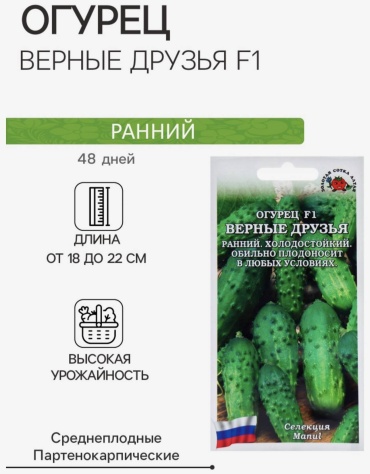 Золотая сотка Алтая огурец ВЕРНЫЕ ДРУЗЬЯ F1