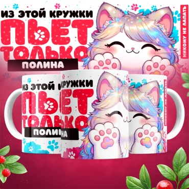 Кружка «Из этой кружки пьет только Полина», 330 мл, керамика, 1 шт.