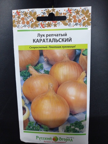 Русский огород лук Каратальский