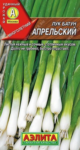 Аэлита лук Апрельский