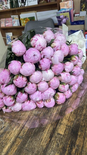 Blossom букет с открыткой пион 51 шт 55 см