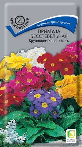 Поиск примула бесстебельная Крупноцветковая смесь