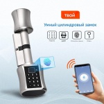 Замок Электронный LC1-ZNSX-DZS