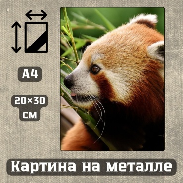 Sequoia VERS картина Картина на металле а4 Дыхание природы 20*30см 20x30 см
