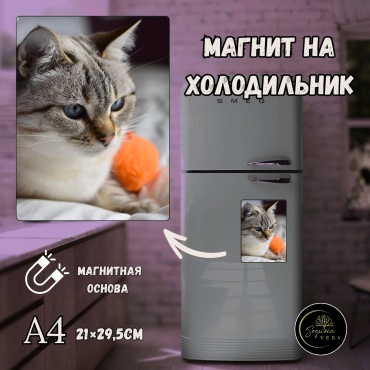 Sequoia VERS магнит-сувенир катята А4 магнит на холодильник 1 шт