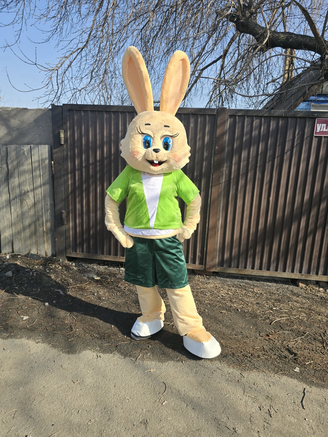 Карнавальный костюм Event Mascot Заяц Ну Погоди Ростовая кукла карнавальный костюм  мультиколор