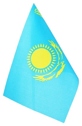 Флаг ҚР Туы 20x13 см