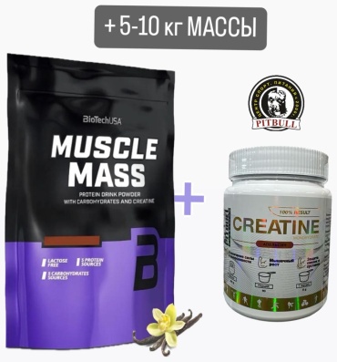 BioTech USA Biotech USA Muscle mass , Pitbull Nutrition creatine Ваниль Апельсин 1300 г