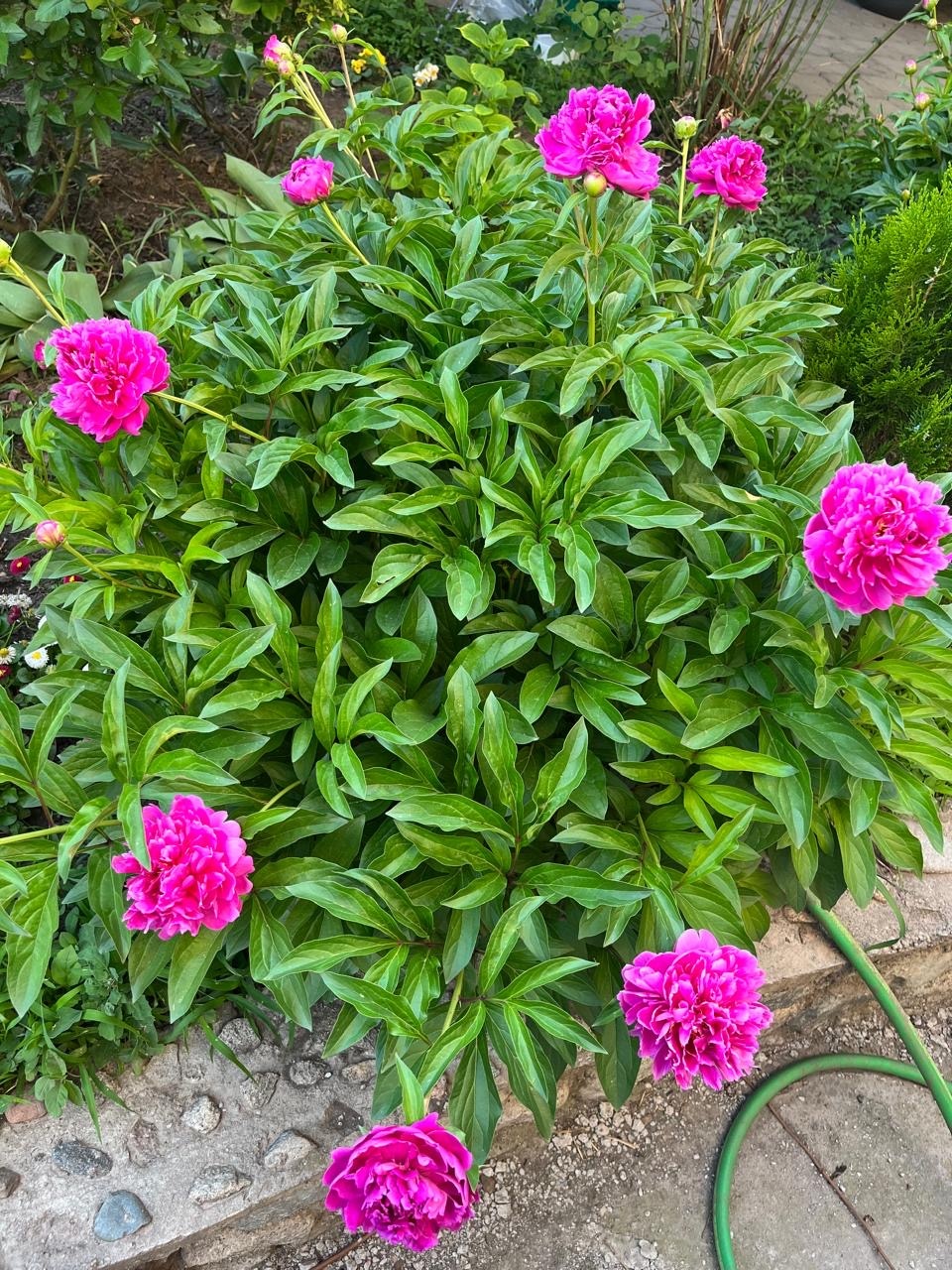 Фото 4